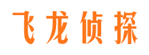 杂多飞龙私家侦探公司